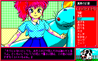 花の清里