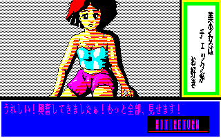 �������̓`�F�b�N�����D��