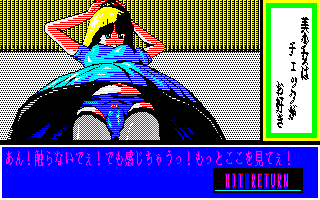 �������̓`�F�b�N�����D��