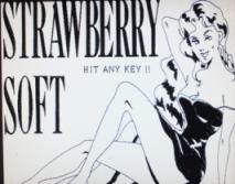 �X�g���x���[�\�t�g���Q