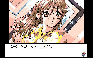 ����Ȃ�̌�������