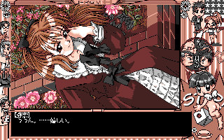 �T���t�����g