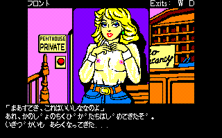 ���X�x�K�X